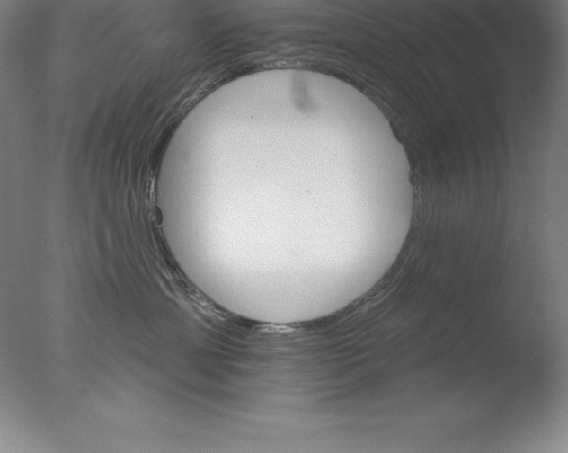 X0000076040429200610201858