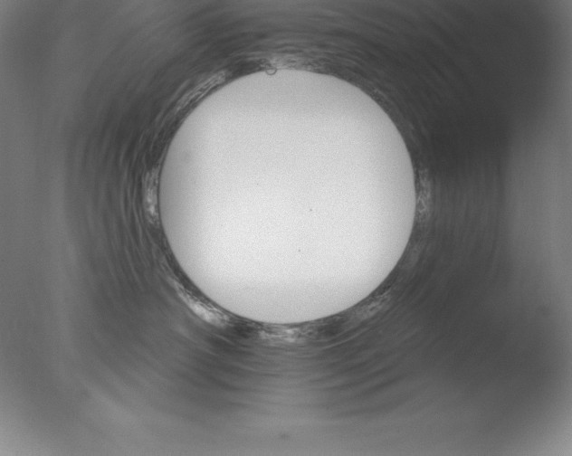 X0000076040430200610201858