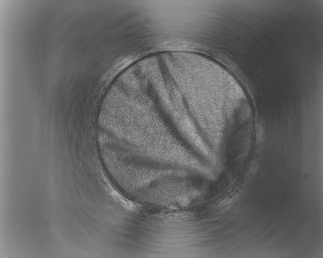 X0000076040433200610201857