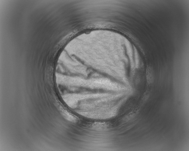 X0000076040445200610201857