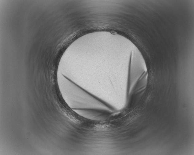 X0000076040450200610201857