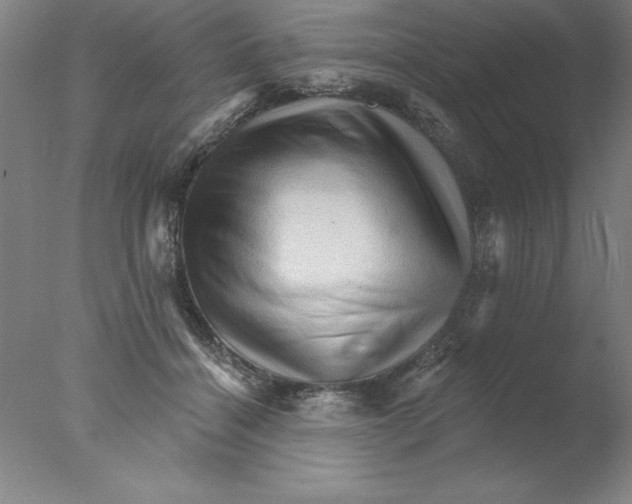 X0000076040460200610201858