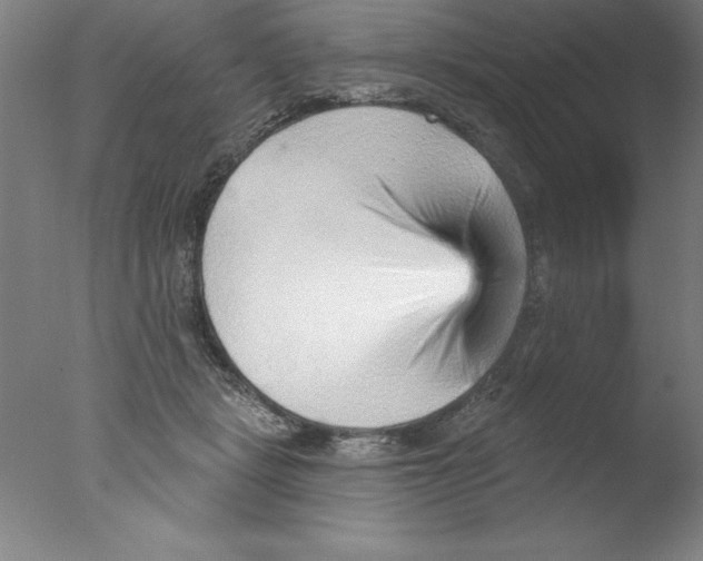 X0000076040461200610201858