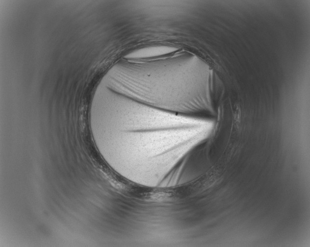 X0000076040462200610201858