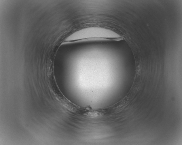 X0000076040464200610201858