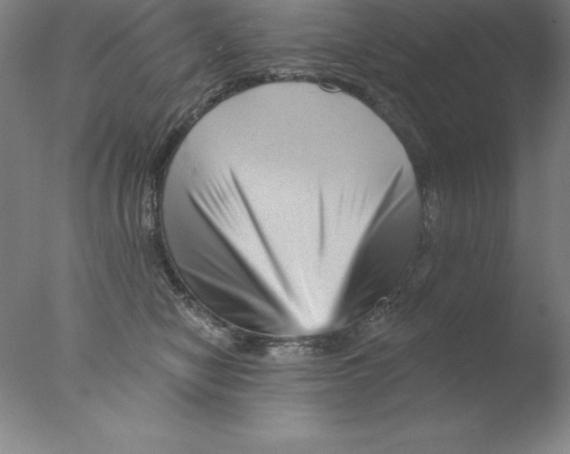 X0000076040470200610201858