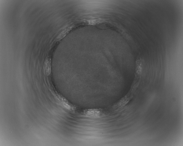 X0000076040471200610201858