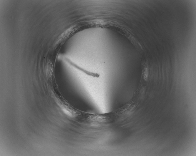 X0000076040476200610201858
