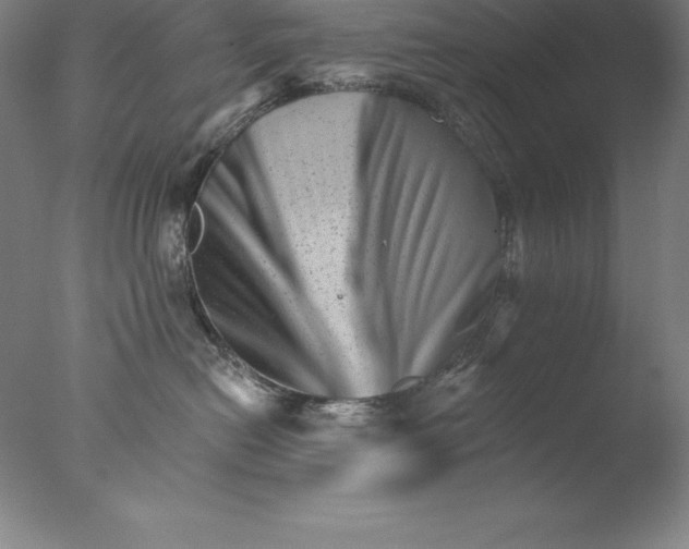 X0000076040478200610201858