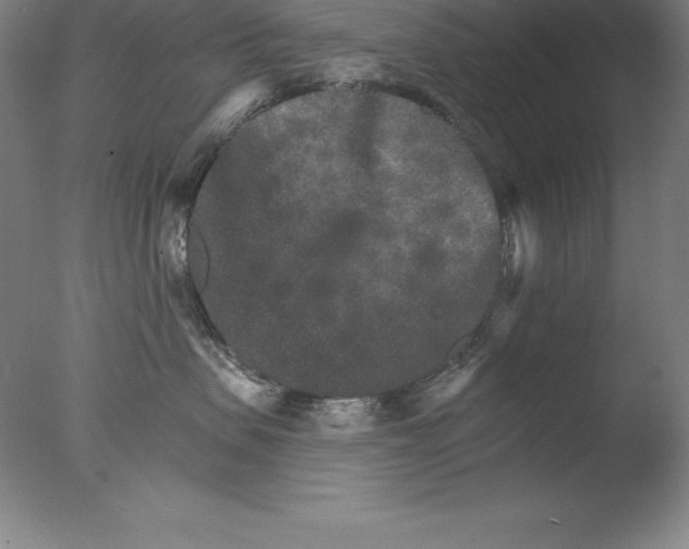 X0000076040479200610201858