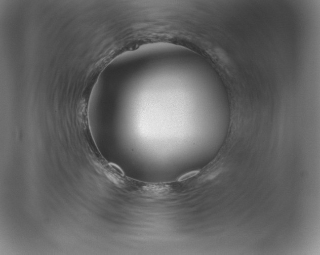X0000076040480200610201858