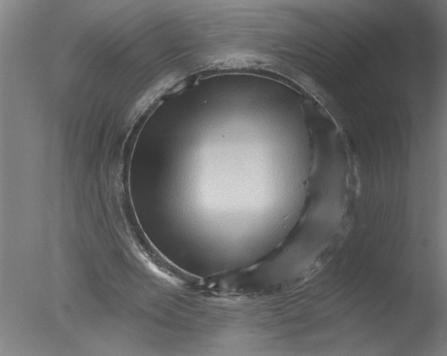 X0000076040485200610201857