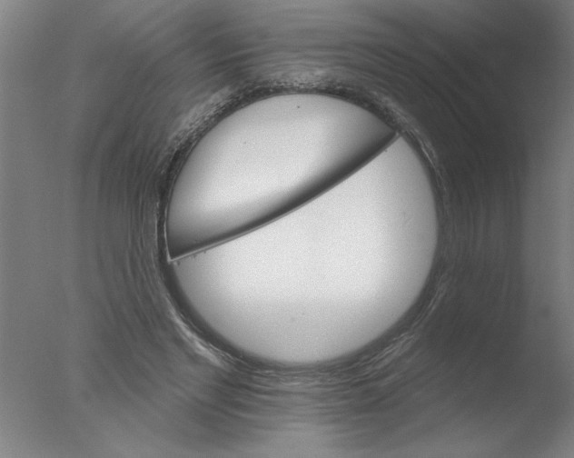 X0000076040493200610201857