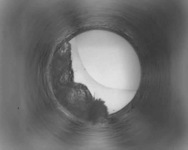 X0000076040499200610201857