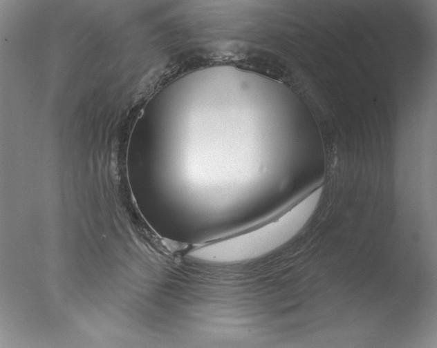 X0000076040512200610201857