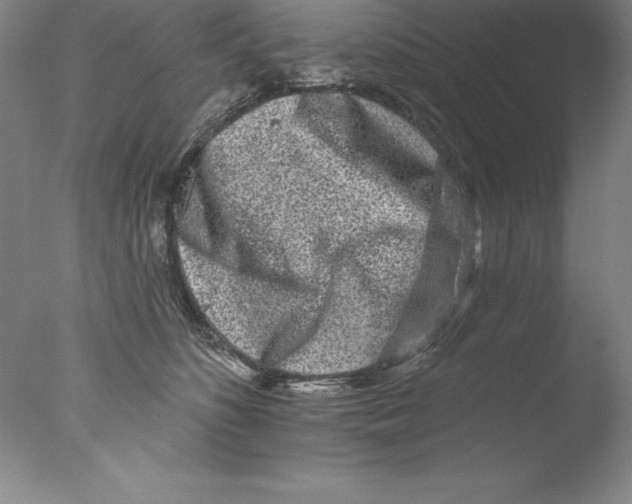 X0000076040516200610201856