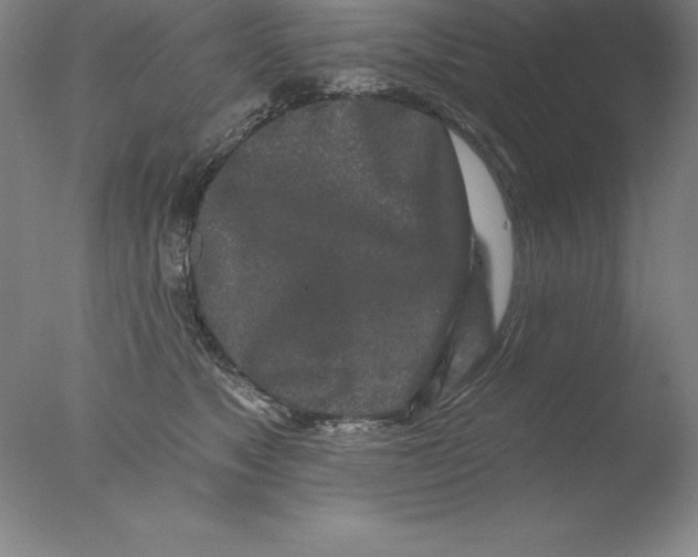 X0000076040517200610201856