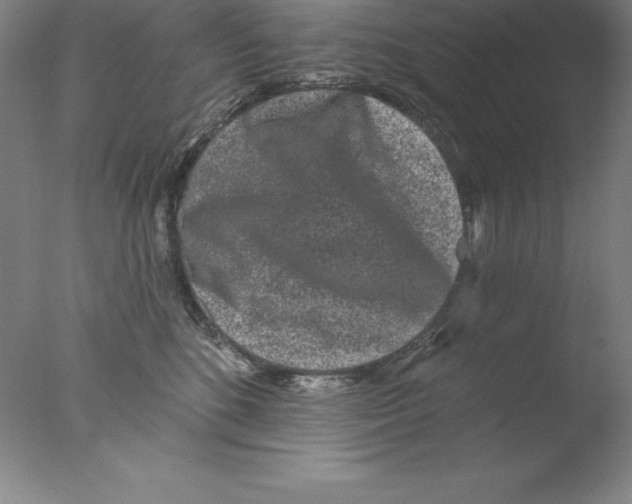 X0000076040520200610201856