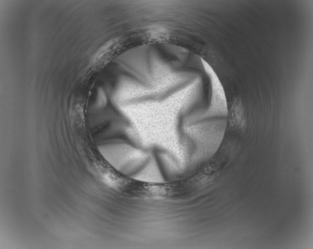 X0000076040522200610201856