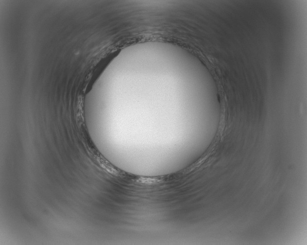 X0000076040528200610201856
