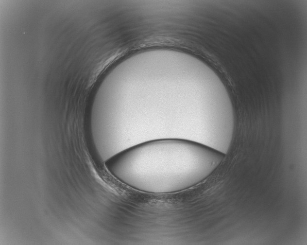 X0000076040538200610201856