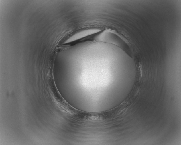 X0000076040546200610201856