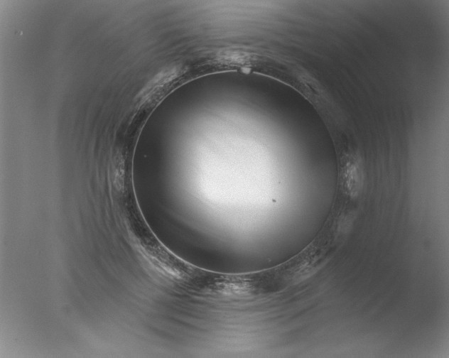 X0000076040552200610201856