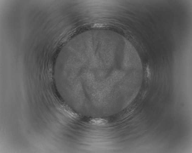 X0000076040557200610201856