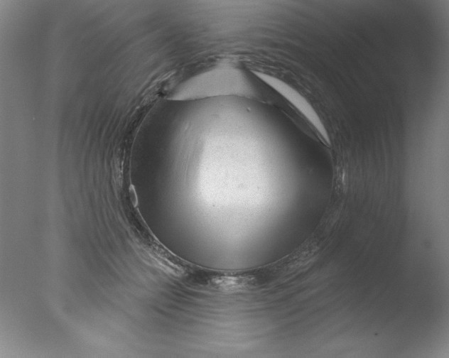 X0000076040558200610201856