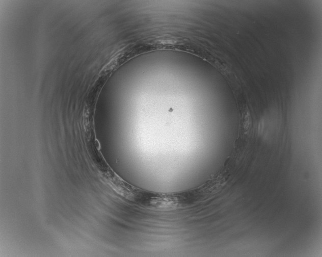 X0000076040559200610201856