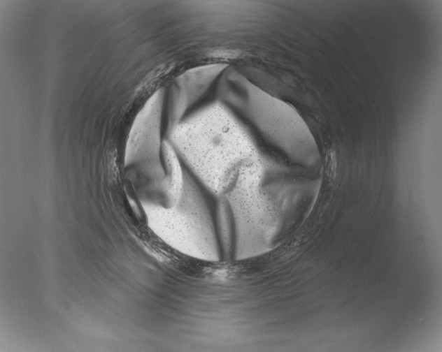 X0000076040564200610201856