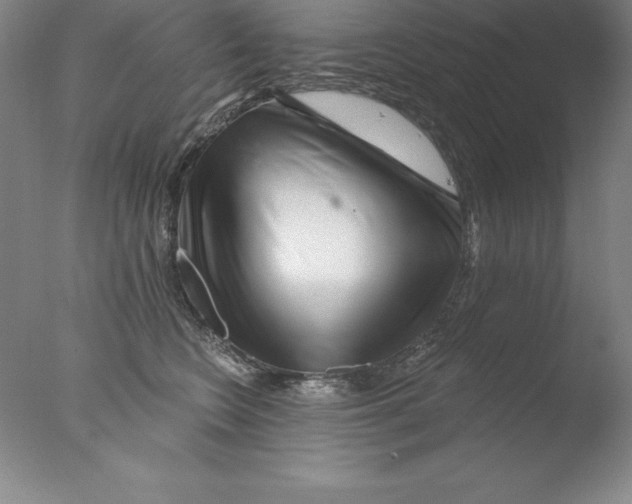 X0000076040566200610201856