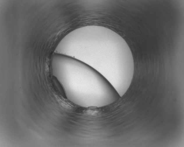 X0000076040570200610201856