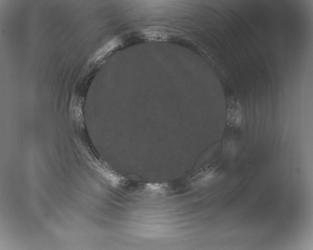 X0000076040573200610201856