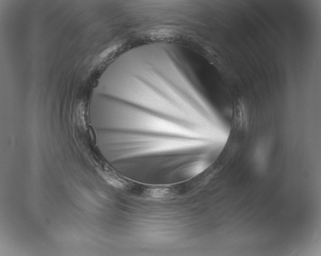 X0000076040575200610201856