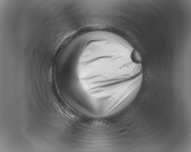 X0000076040596200610201855