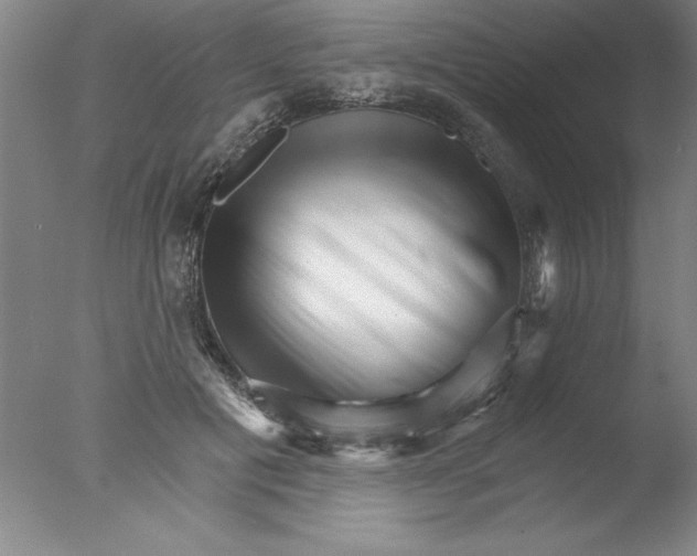 X0000076040601200610201855