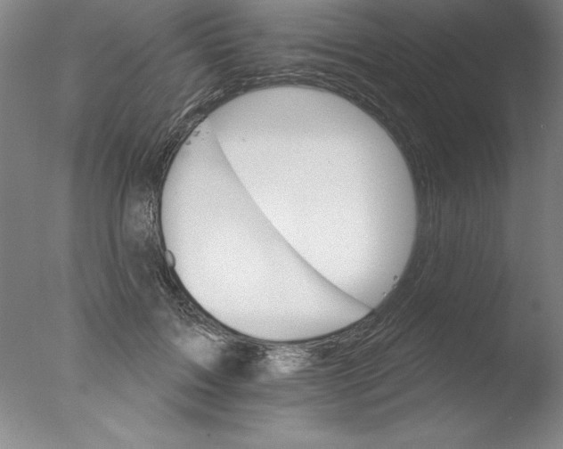 X0000076040603200610201855