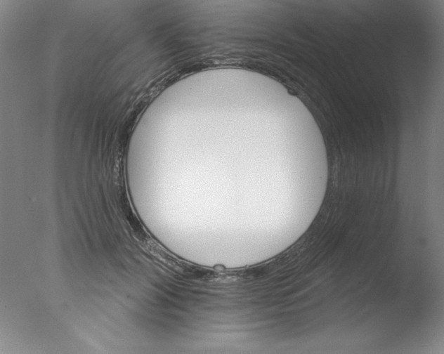 X0000076040604200610201855