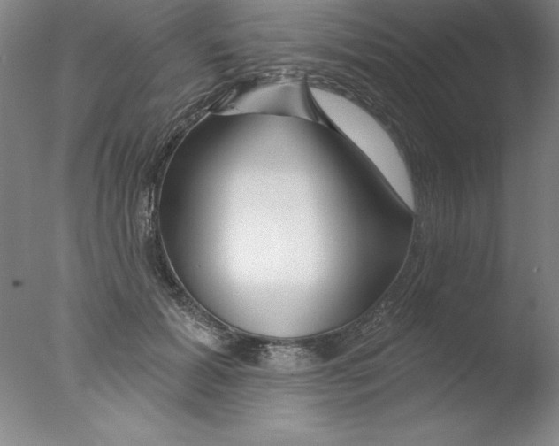 X0000076040605200610201855