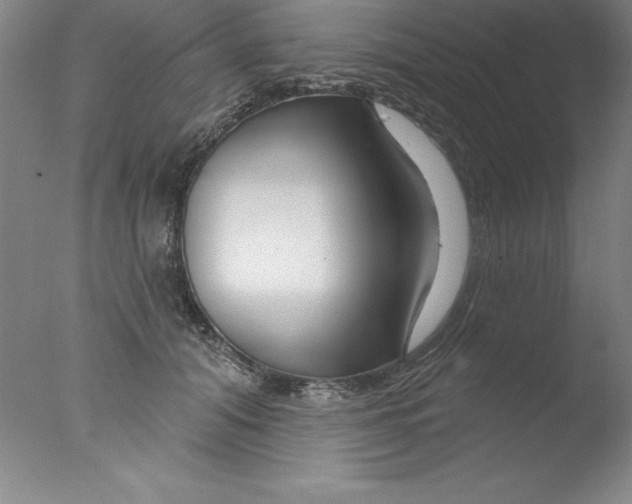 X0000076040608200610201855