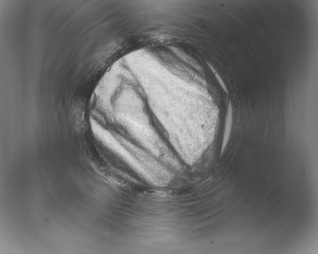 X0000076040615200610201855