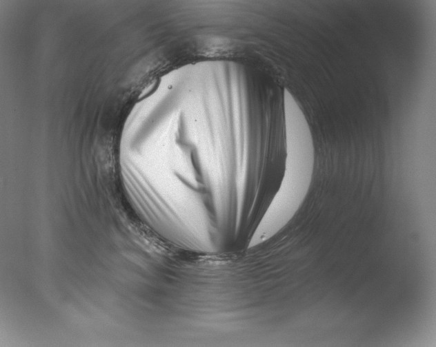 X0000076040620200610201855