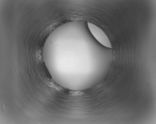 X0000076040621200610201855