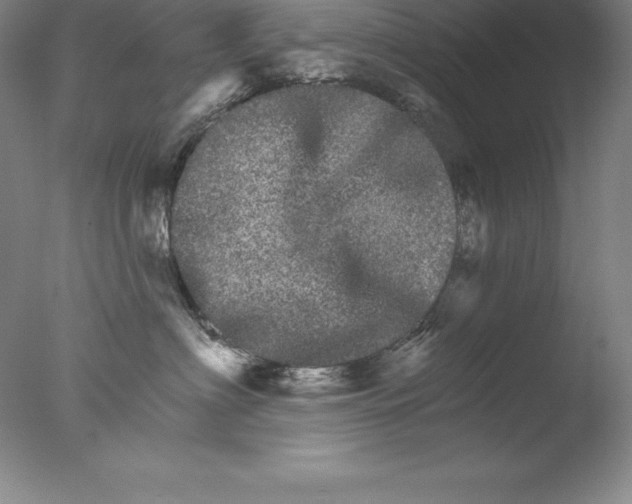 X0000076040622200610201855