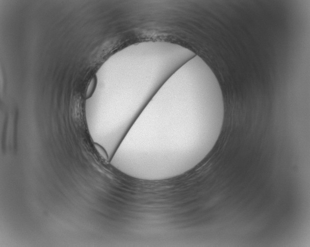 X0000076040623200610201855