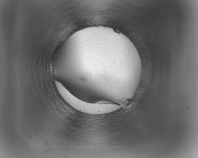X0000076040624200610201855