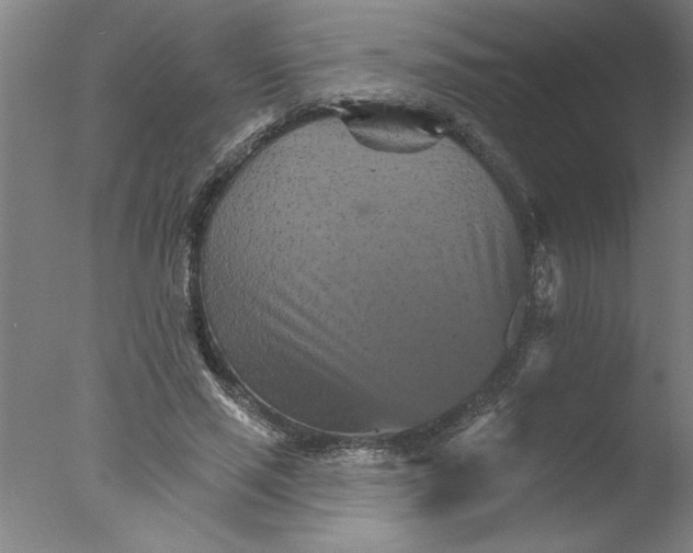 X0000076040637200610201854