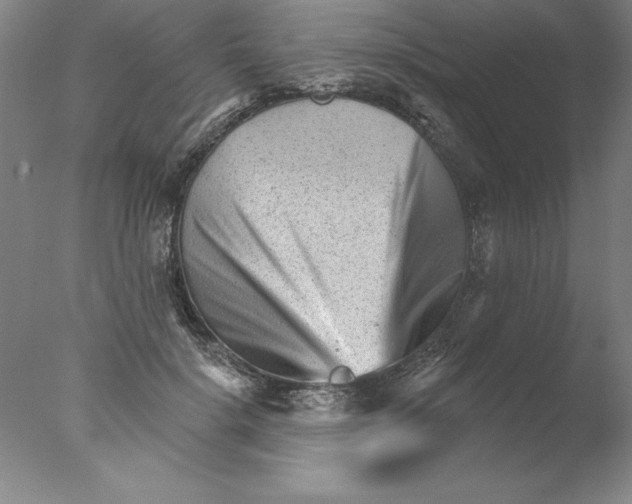 X0000076040652200610201854