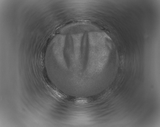 X0000076040653200610201854